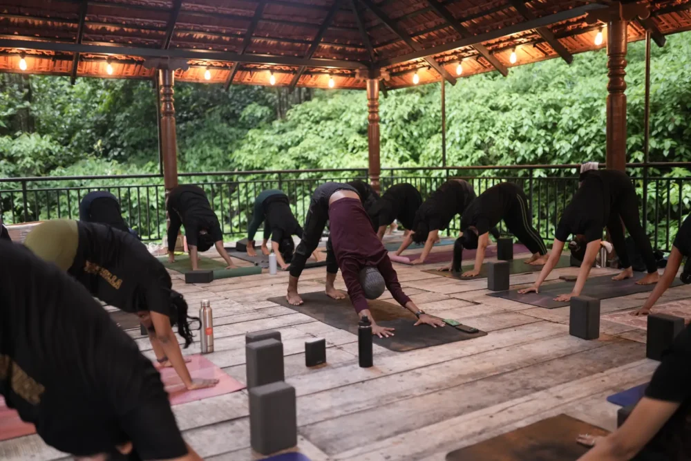 Can yoga help office workers with stiffness?